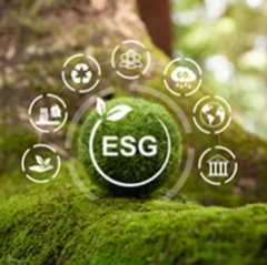 פורום ESG